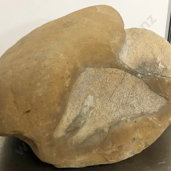 Two Fossil Boulders