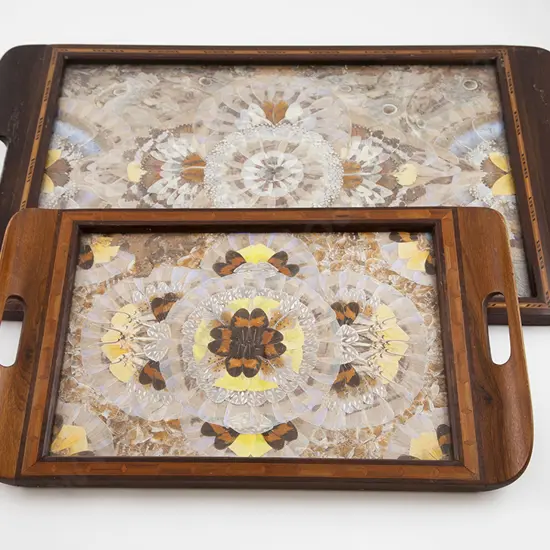 Two Early C20th Butterfly Wing Trays