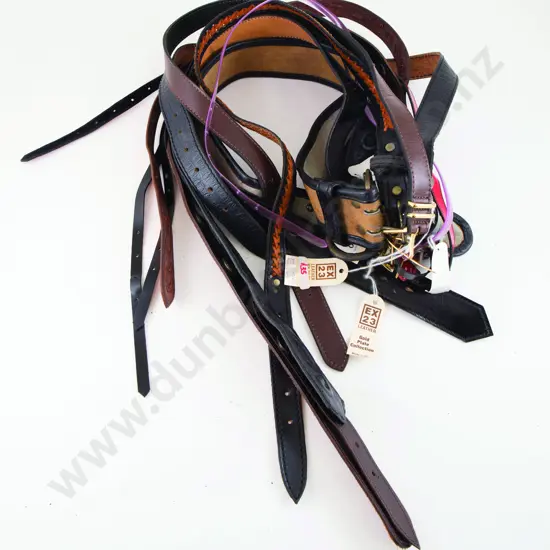 Collection EX23 Leather Belts (12)