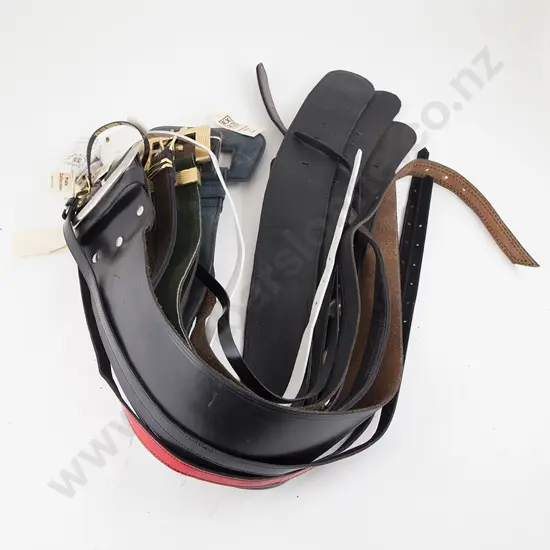 Collection EX23 Leather Belts (12)