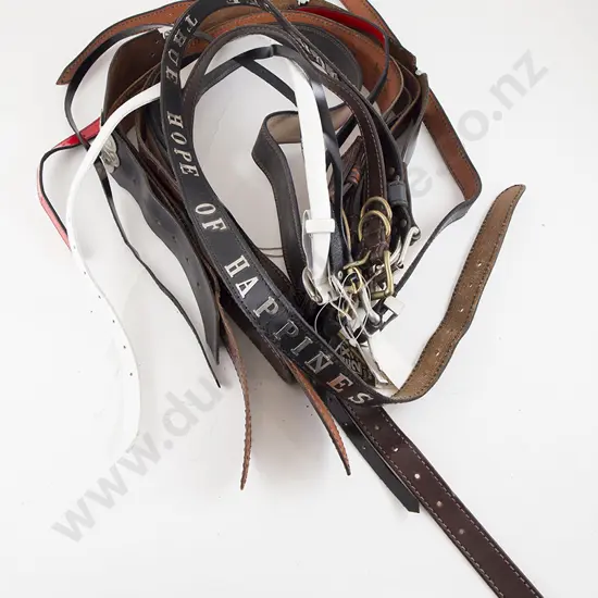 Collection EX23 Leather Belts (12)