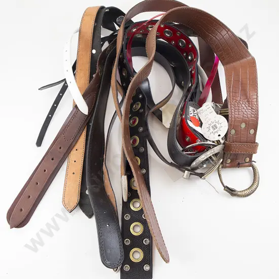 Collection EX23 Leather Belts (12)