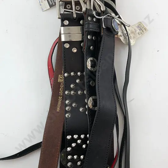 Collection EX23 Leather Belts (12)
