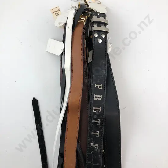 Collection EX23 Leather Belts (12)