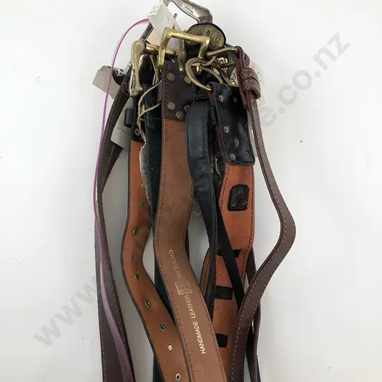 Collection EX23 Leather Belts (12)
