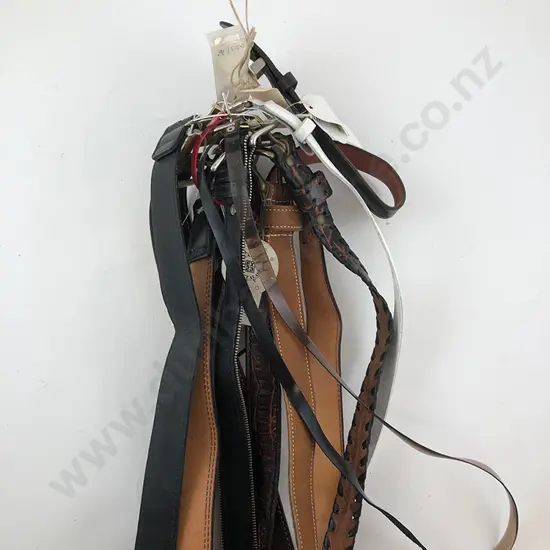 Collection EX23 Leather Belts (12)