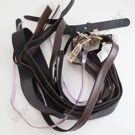 Collection EX23 Leather Belts (12)