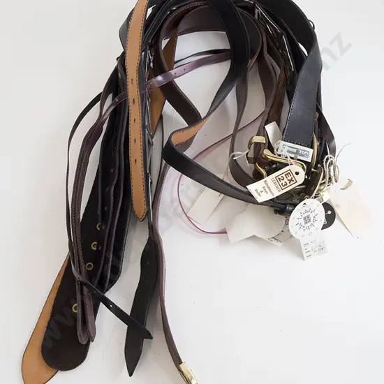 Collection EX23 Leather Belts (12)