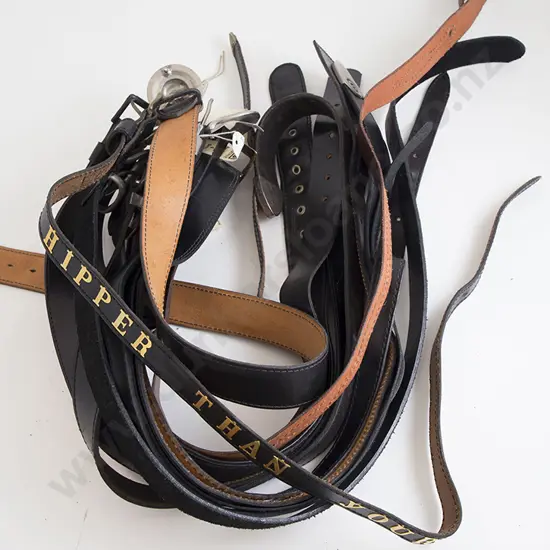 Collection EX23 Leather Belts (12)