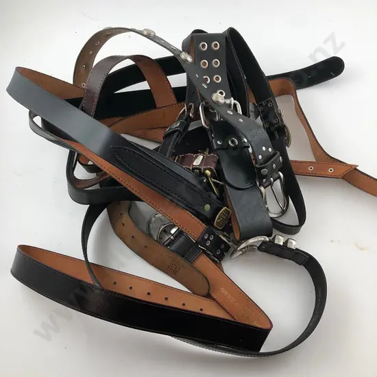 Collection EX23 Leather Belts (12)