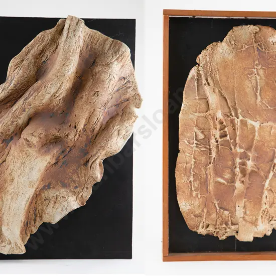 Doreen Blumhardt  - Rock Impressions