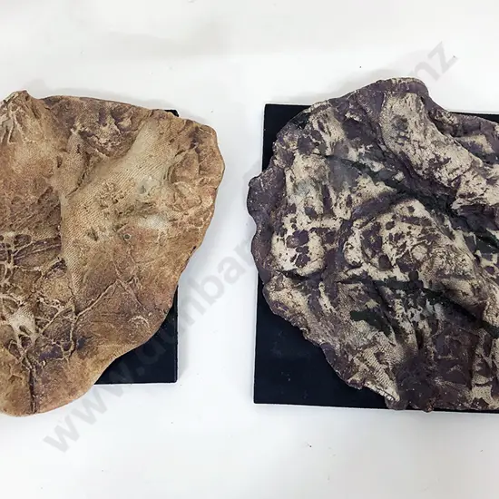 Doreen Blumhardt Rock Impression Wall Plaques (5)