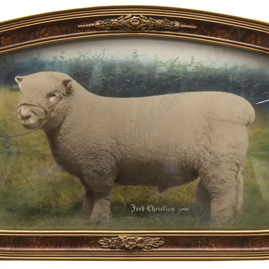 F Wirth - Hand Coloured Photograph