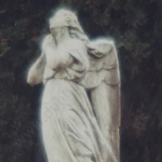 Wayne Hosie photographs (5)