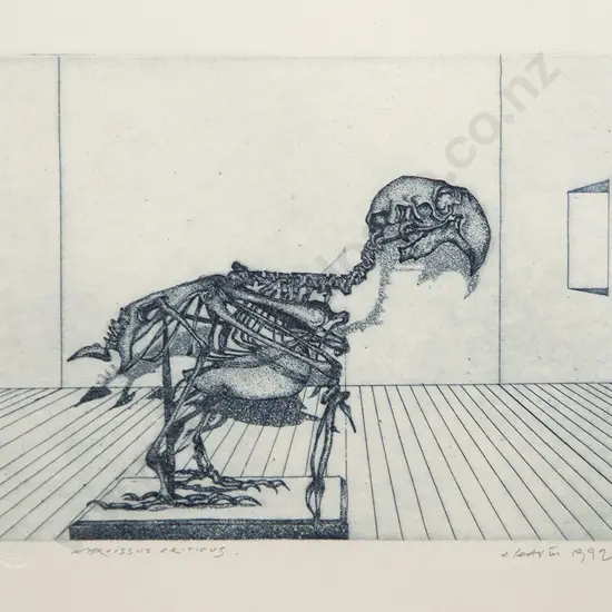 Barry Cleavin - Narcissus Criticus