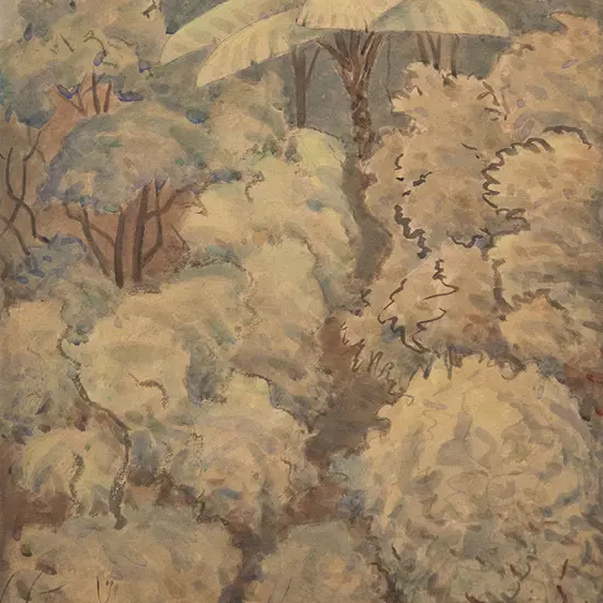 T A McCormack - Native Bush