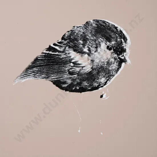 Rudolf Boelee - Chatham Island Black Robin