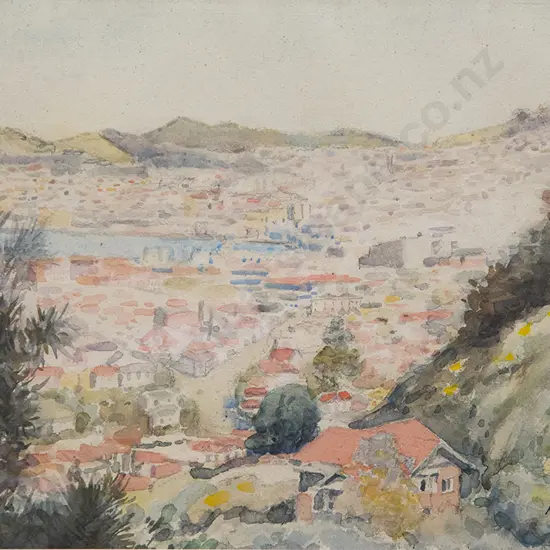 A J Rae - View from Wadestown Road