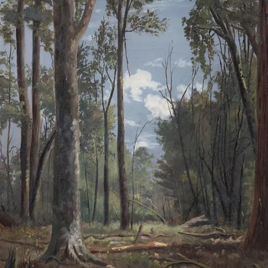 NZ Colonial - Forest Scene
