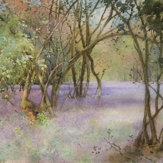 H L Norris - Bluebells, The Avon Vallery