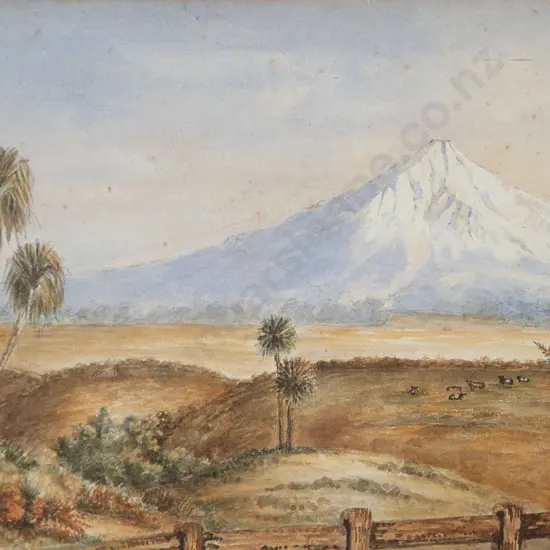 Fanny Arden -  Mt Egmont