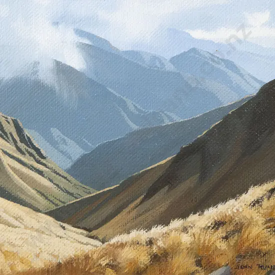 John Rundle - The Hector Valley, Tararua Range
