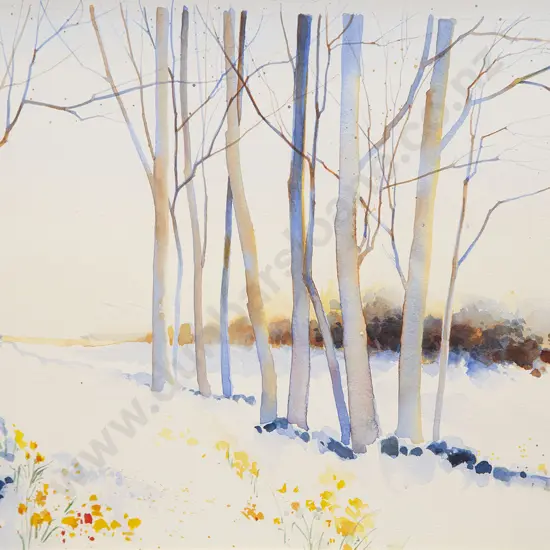 Philip Markham - Birch Grove