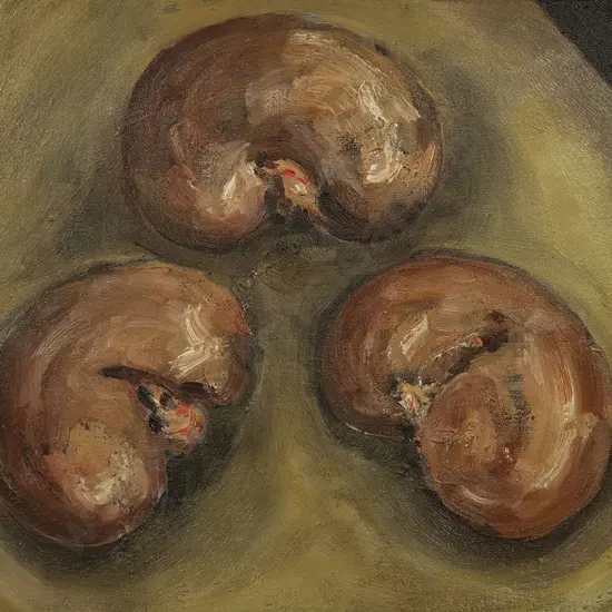 Joanna Braithwaite - Kidney Study