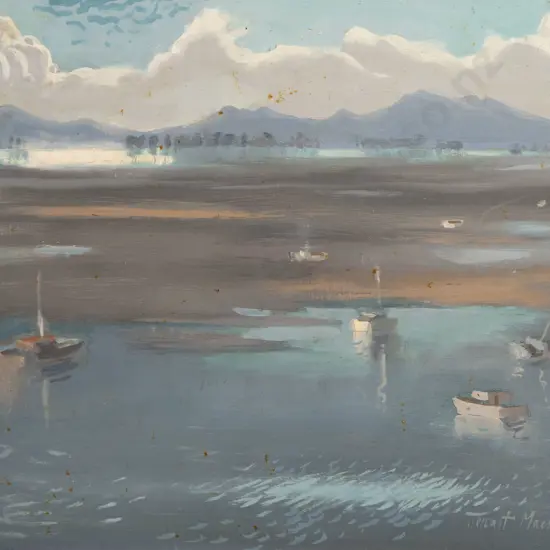 Stewart Maclennan - Mt Maunganui, Tauranga