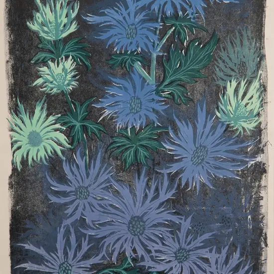 Stewart McLennan - Sea Holly