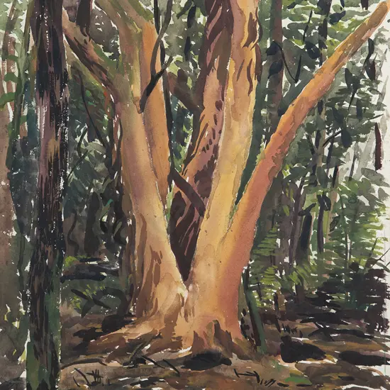 Dorothy Maclennan works on paper (6)