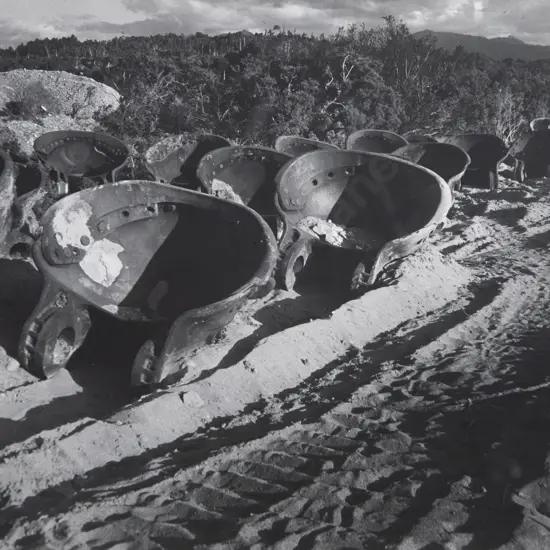 Les Cleveland Photograph