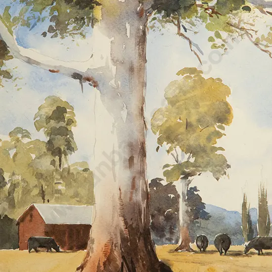 Aston Greathead - Near Amberley, North Canterbury