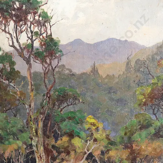 Nugent Welch - NZ Natives