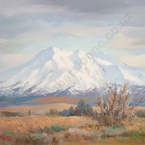 C T Laugeson -  Mt Ruapehu