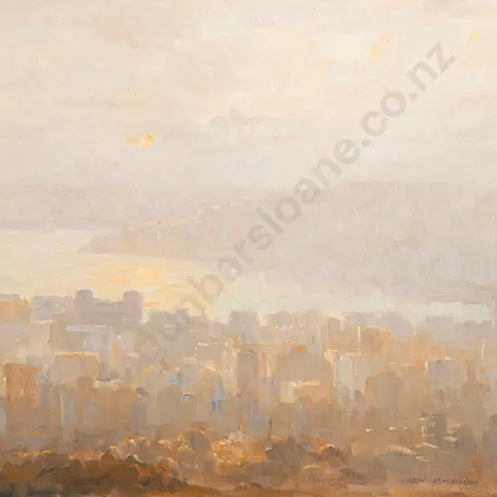 Ion Brown - Wellington Sunrise