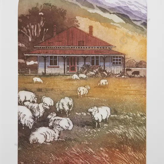 Cynthia Taylor - Sheep Farm