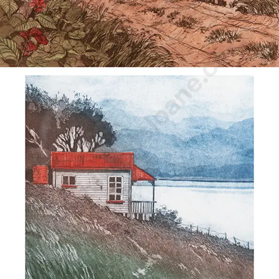 Cynthia Taylor - etchings (2)