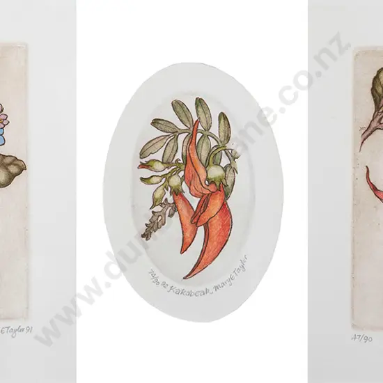 Cynthia Taylor etchings (3)