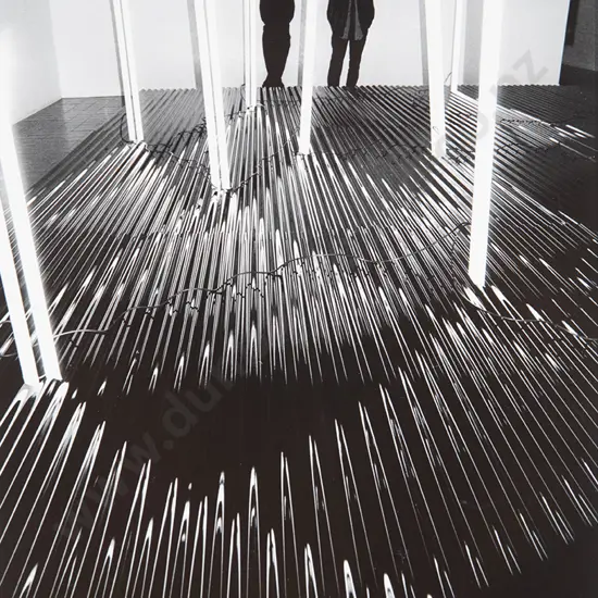 Marti Friedlander - Ralph Hotere & Bill Culbert with Blackwater