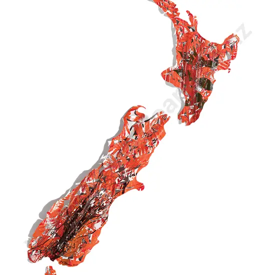 Jeff Thomson - Map of Aotearoa/ New Zealand