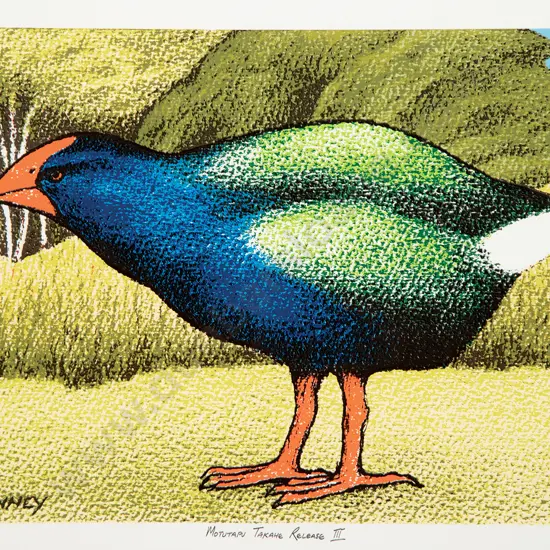 Don Binney - Motutapu Takahe Release III