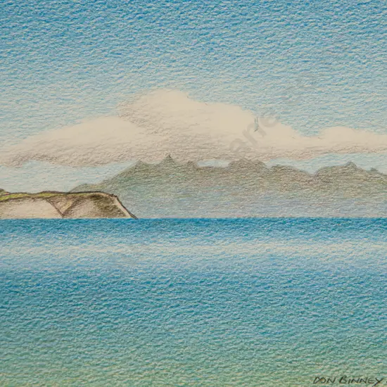 Don Binney - Hauturu from Campbells Bay II