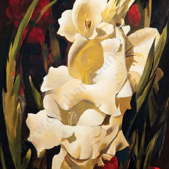 Peter McIntyre - Gladioli