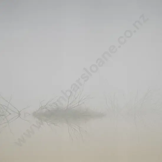 Grahame Sydney - Mai-Mai, Kane's Pond