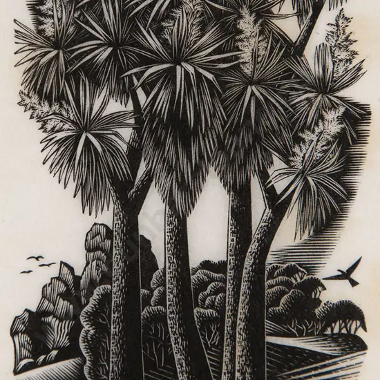 E Mervyn Taylor - Palm Lily