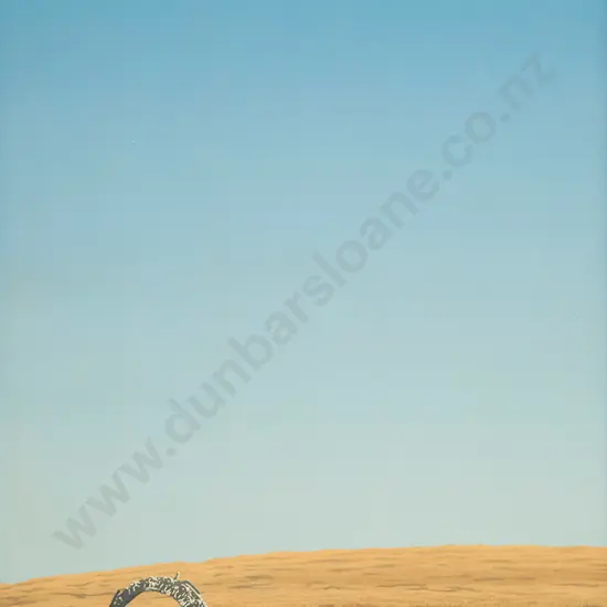 Alec MacDonald - Terminus