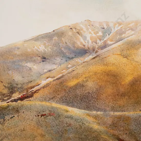 Rob McDowell - Lewis Pass