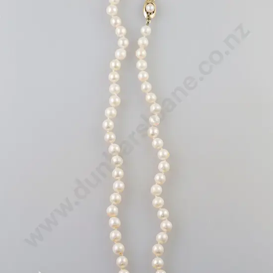 Single Strand Cultured Pearl Necklace
