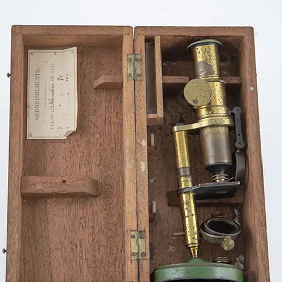 Victorian All Brass Field Microscope